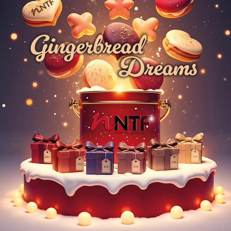 Farbgel-Set - Winter «Gingerbread Dreams»